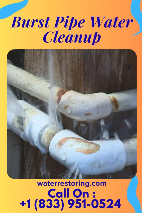 Burst Pipe Water Cleanup in Cascade Valley, WA