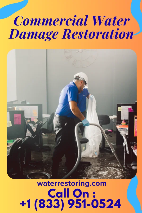 Commercial Water Damage Restoration in Cascade Valley, WA