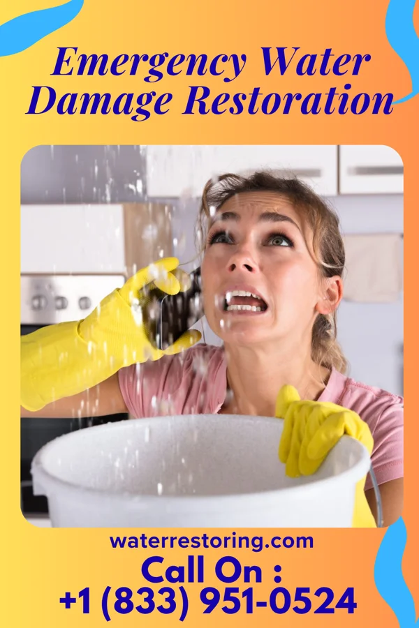 Emergency Water Damage Restoration in Cascade Valley, WA