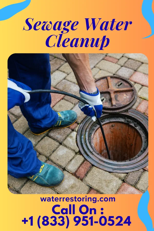 Sewage Water Cleanup in Cascade Valley, WA