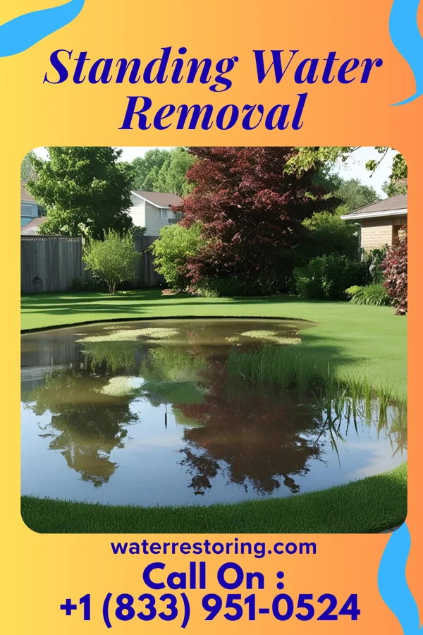 Standing Water Removal in Cascade Valley, WA